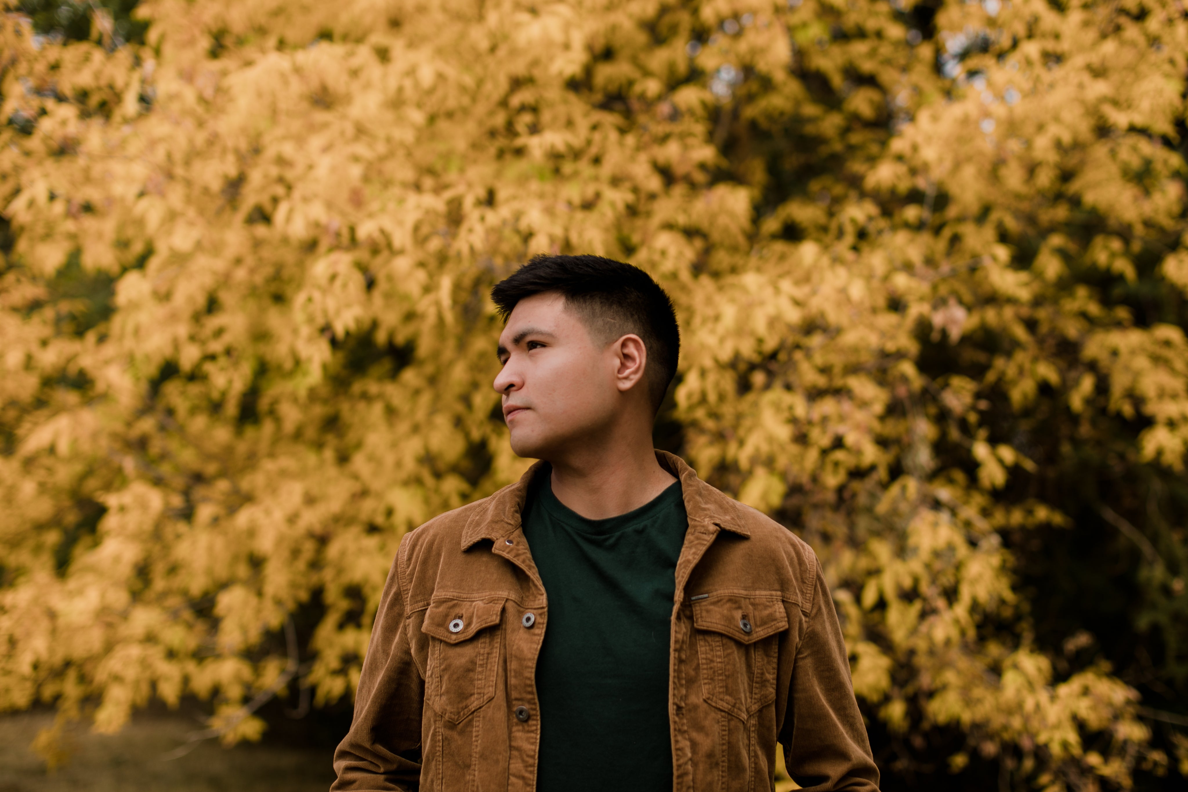 <em><strong>David R.</strong></em>